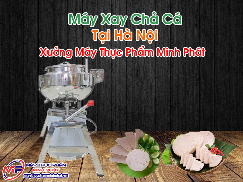 Máy Xay Chả Cá Tại Hà Nội