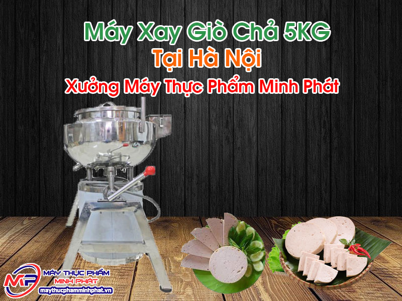 Máy Xay Giò Chả 5KG Tại Hà Nội