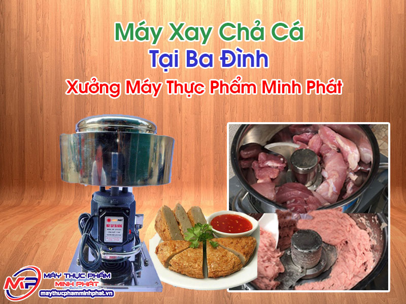 Máy Xay Chả Cá Tại Ba Đình