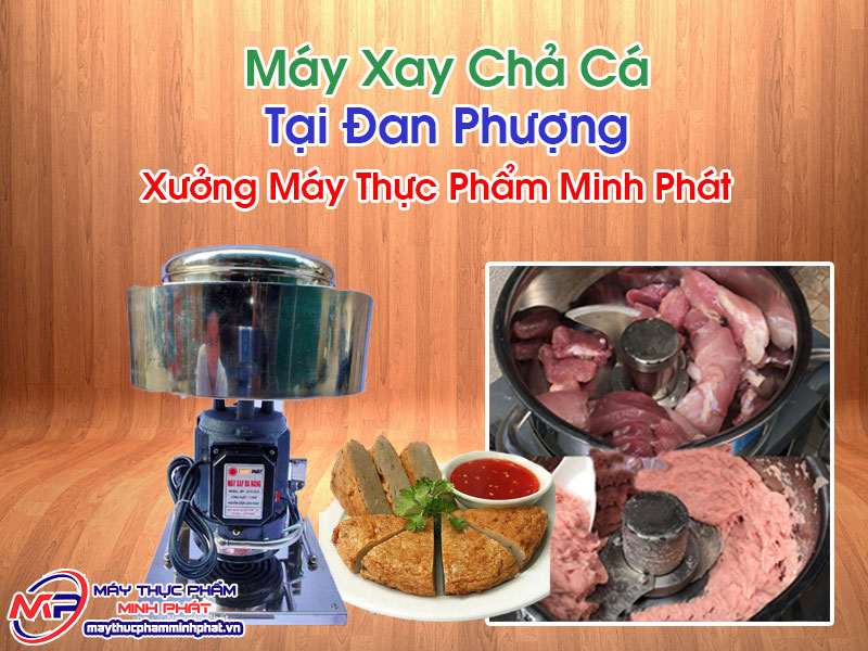 Máy Xay Chả Cá Tại Đan Phượng