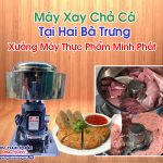 Máy Xay Chả Cá Tại Hai Bà Trưng