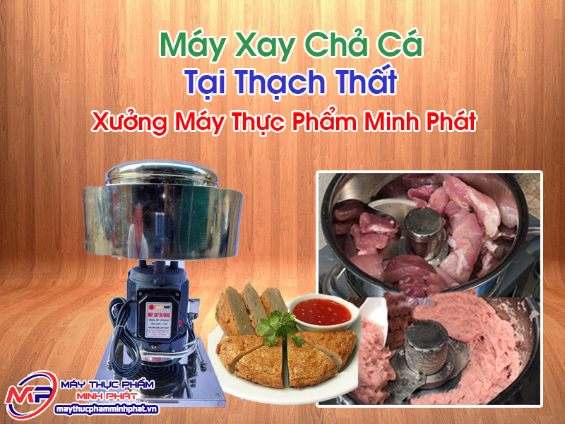 Máy Xay Chả Cá Tại Thạch Thất